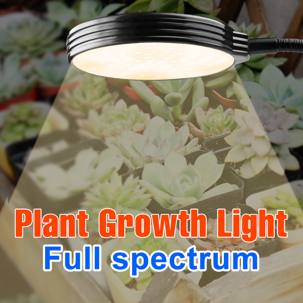 USB Phyto 램프 5V LED 식물에 대 한 빛 전체 스펙트럼 Phytolamp 성장 방수 수경 씨앗 식물 Growbox 15W 30W 45W 60W